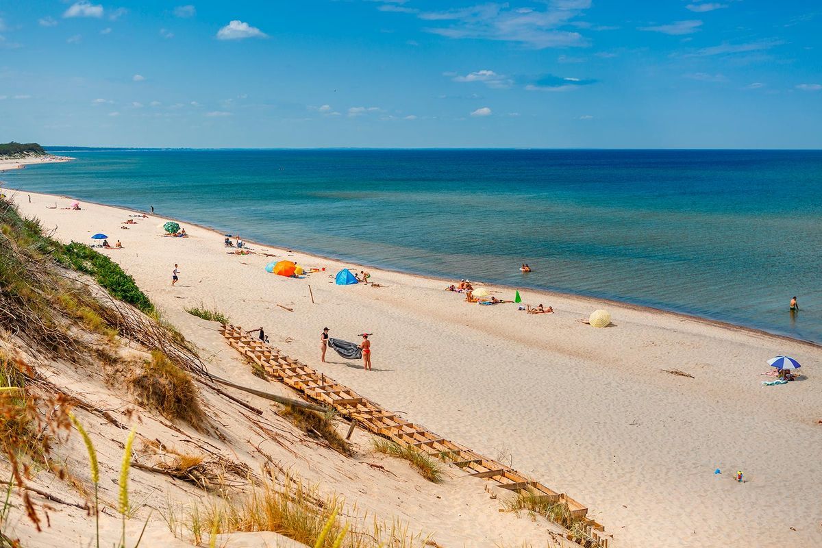 Дикие животные национального парка